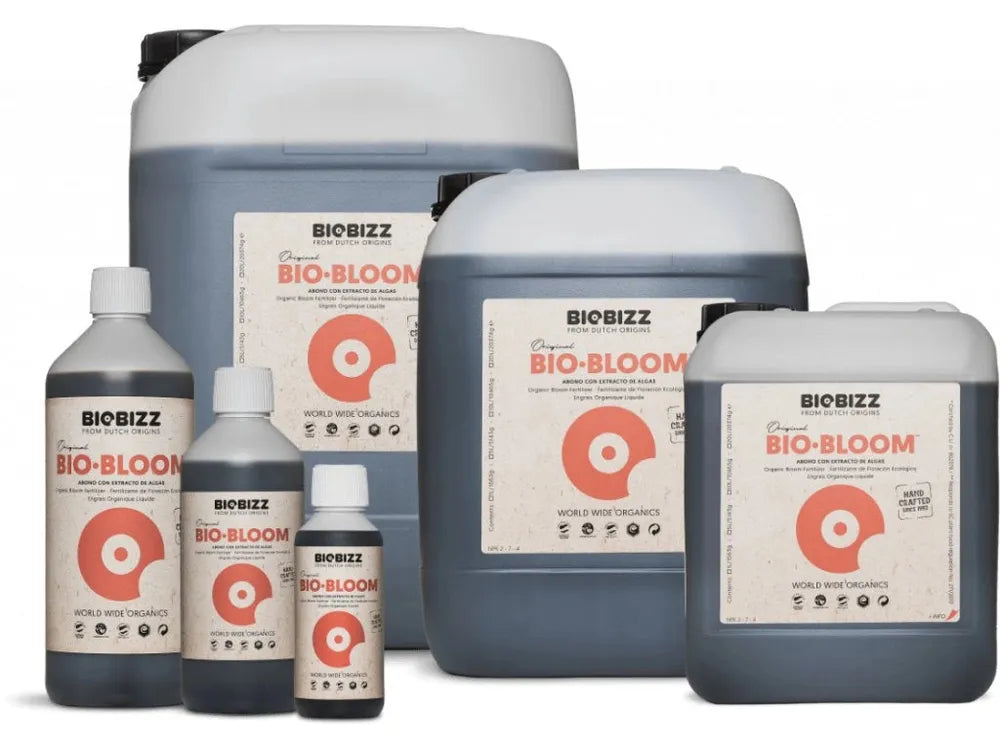 14986_bio--bloom