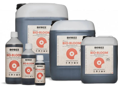 14986_bio--bloom