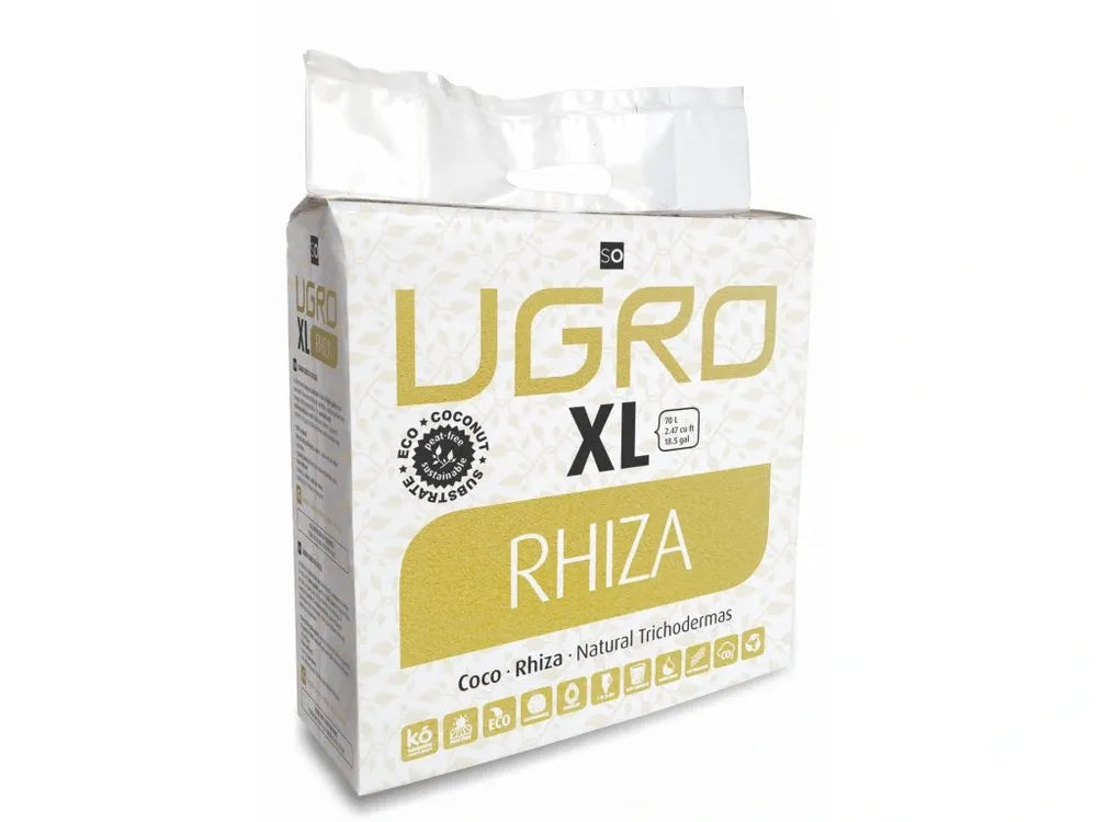 3349_xl-rhiza-1