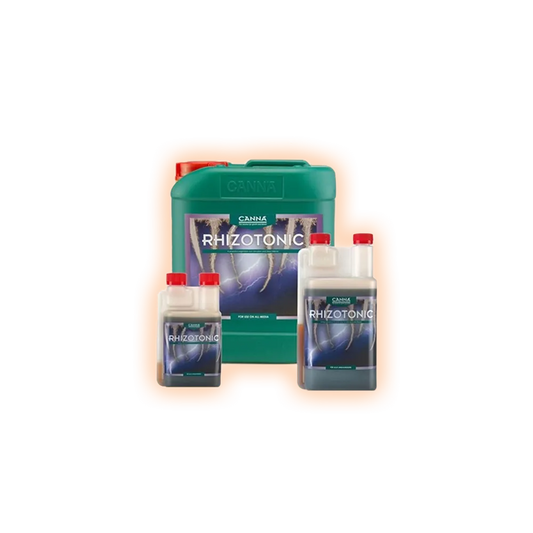 CANNARhizotonic