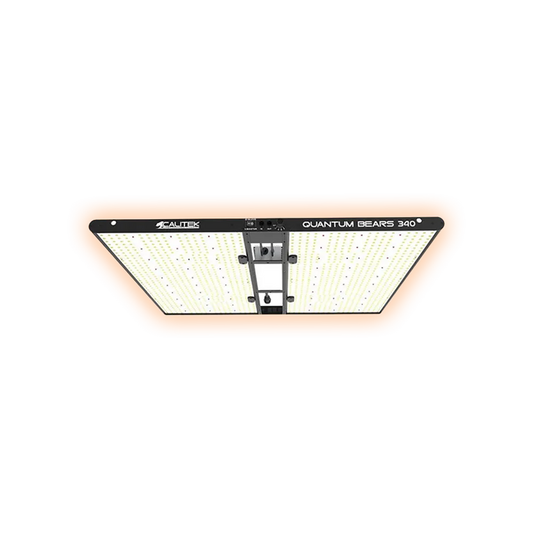 CalitekLEDQuantumBears340W2_8_molJ