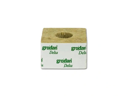 GRODANPflanzwuerfel100x100x65mmmitgrossemLoch-1Stk