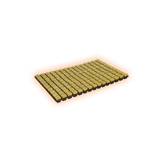 GRODANPflanzwuerfel25x25x40mmimPflanzgefaessa150Stueck-1Pflanzgefaess