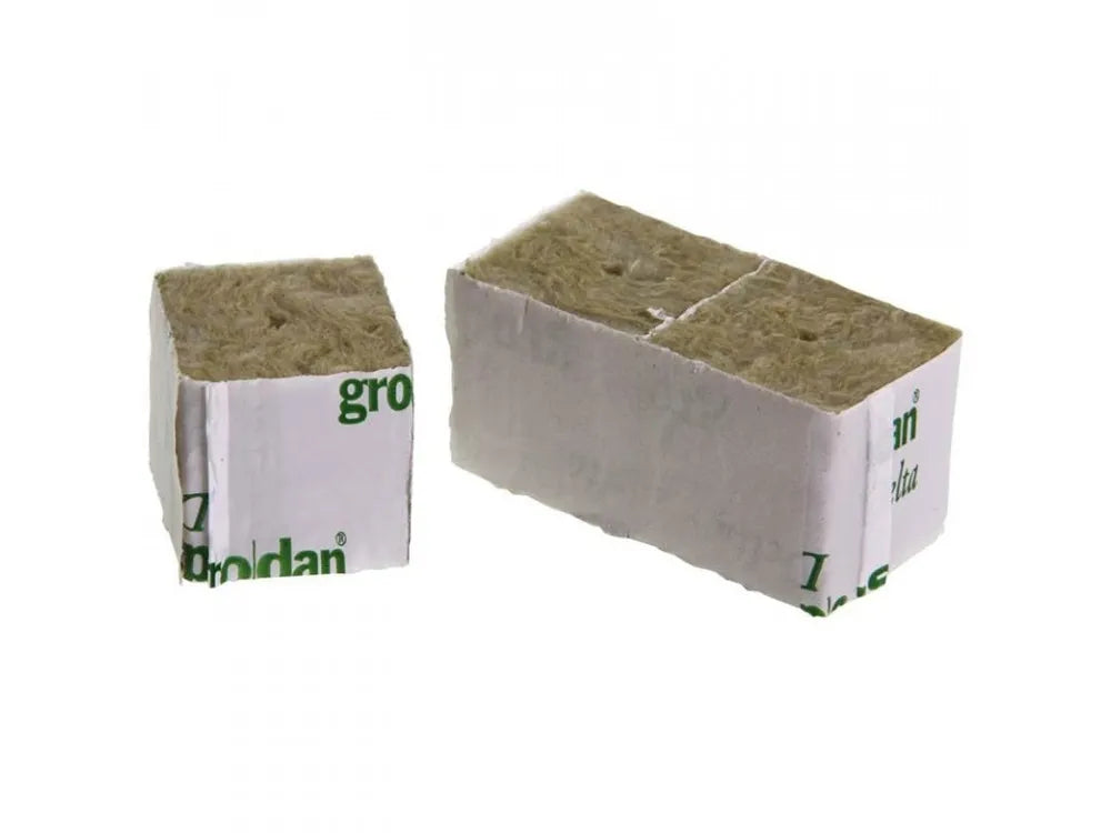 GRODANPflanzwuerfel40x40x40mmmitkleinemLoch-1Stk