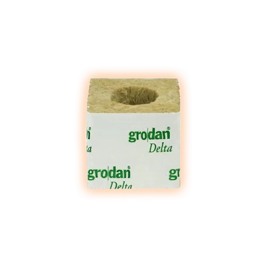 GRODANPflanzwuerfel75x75x65mmmitgrossemLoch-1Stk