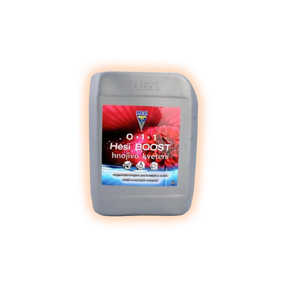 HESI-Boost