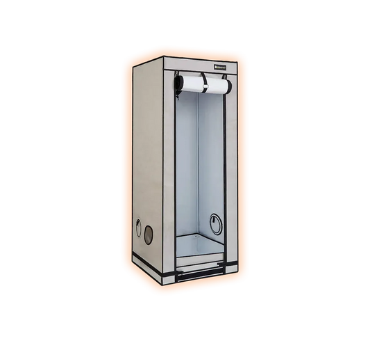 HOMEboxAmbientQ60