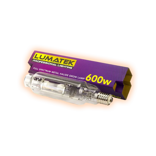 LampeLumatek600WMH-6400K