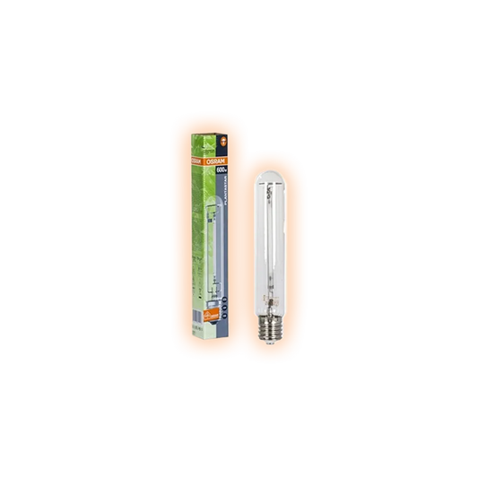 LampeOSRAMPLANTASTAR600W