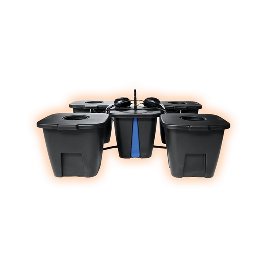 PLANT_TAEROSIV