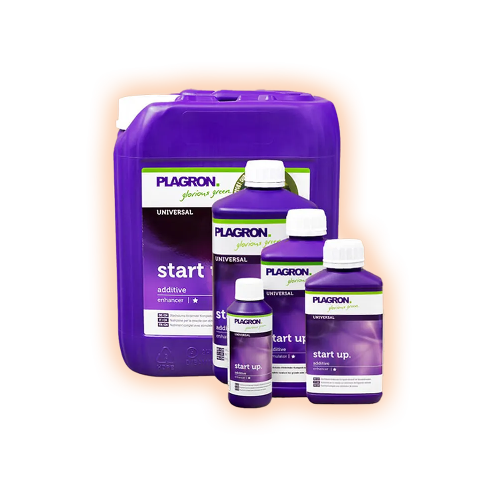 PlagronStartup