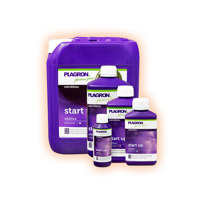 PlagronStartup