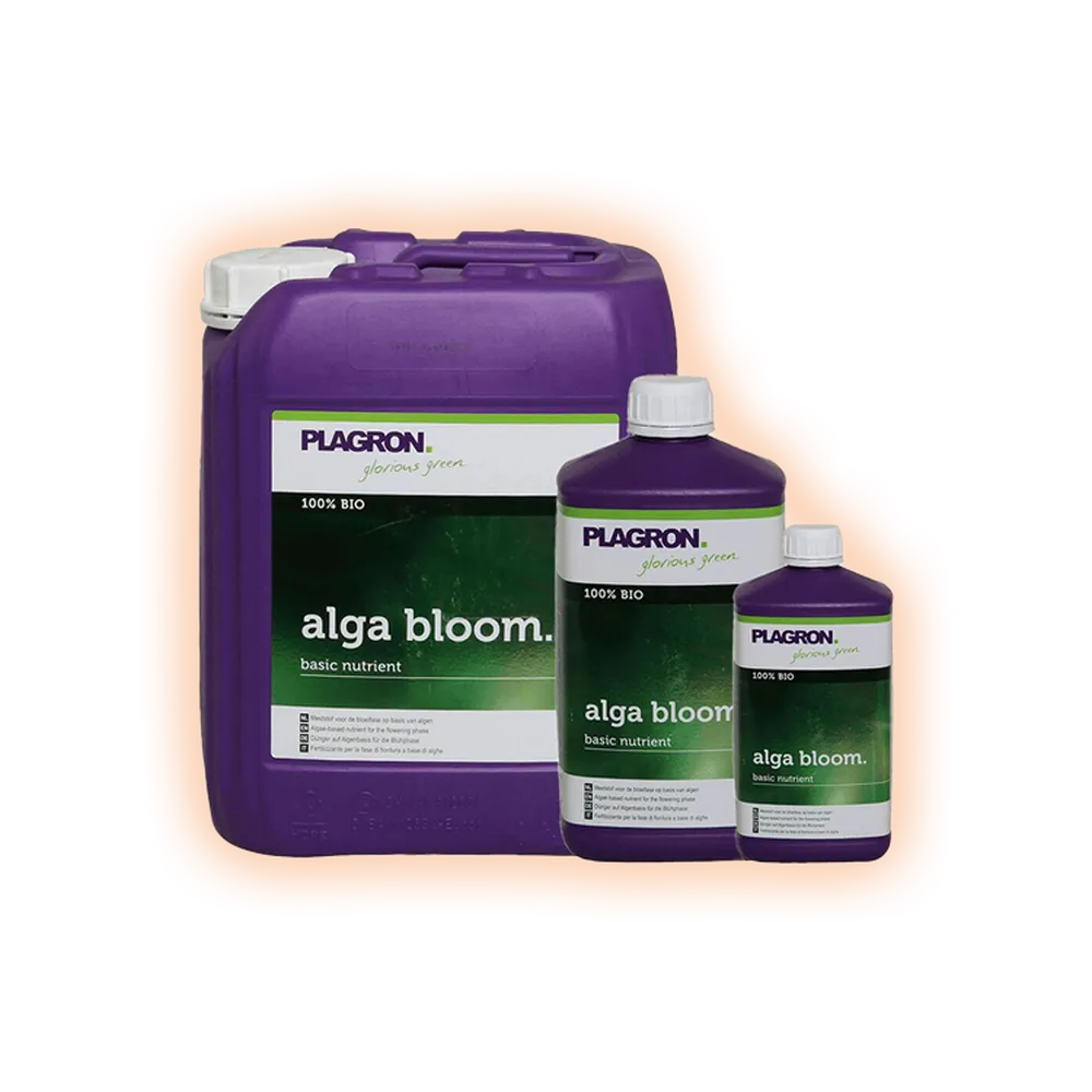 Plagronalgabloom