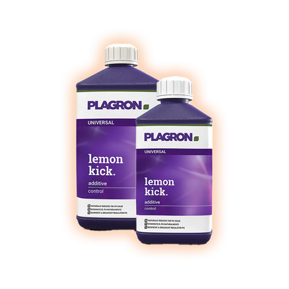 Plagronlemonkick