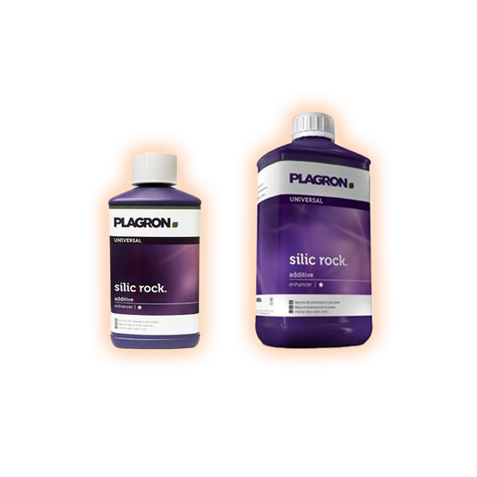 Plagronsilicrock