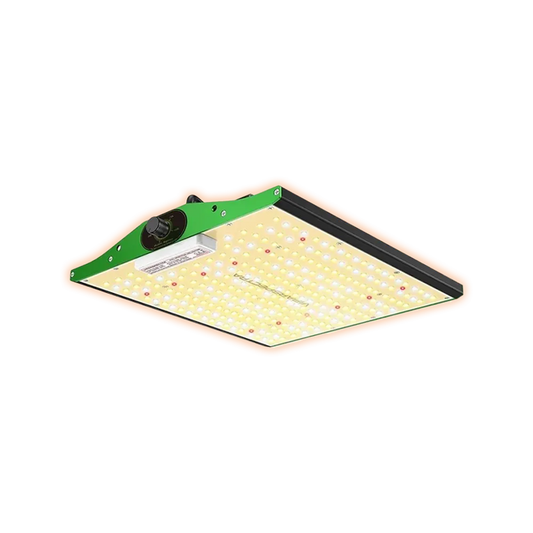 ViparspectraP1000LED100watt