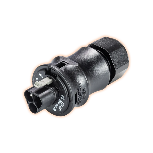 WielandSteckerteilmitKabelverschraubung10-14mm_Schraubanschluss