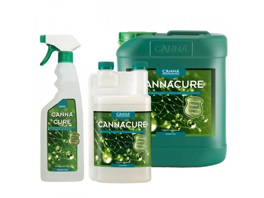 cannacure