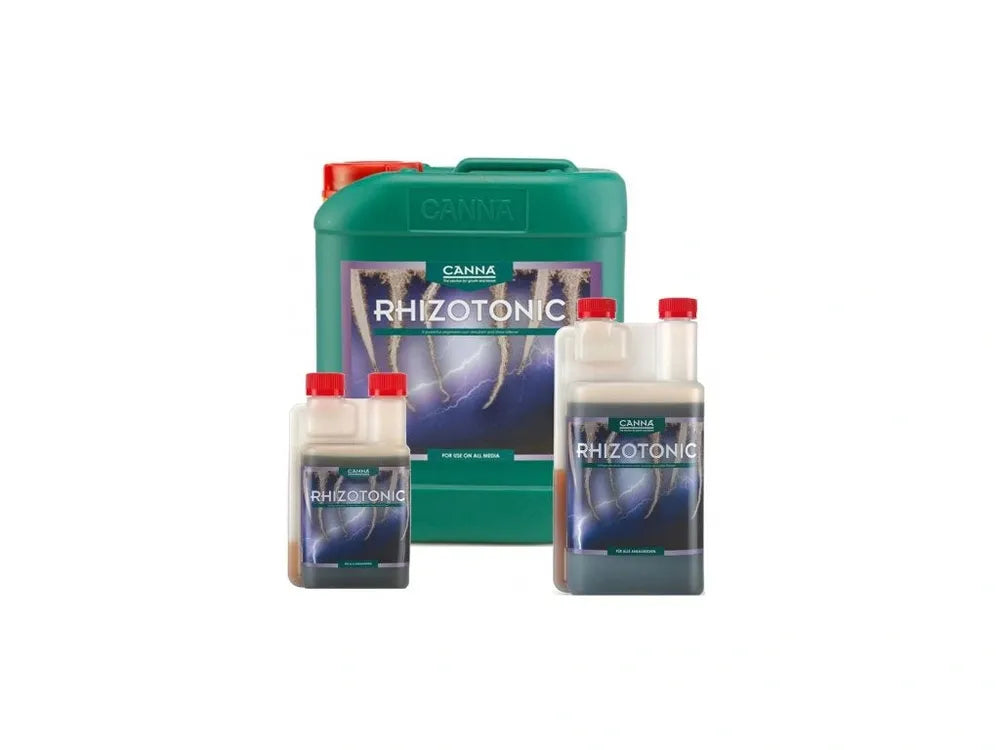 cannarhizotonic