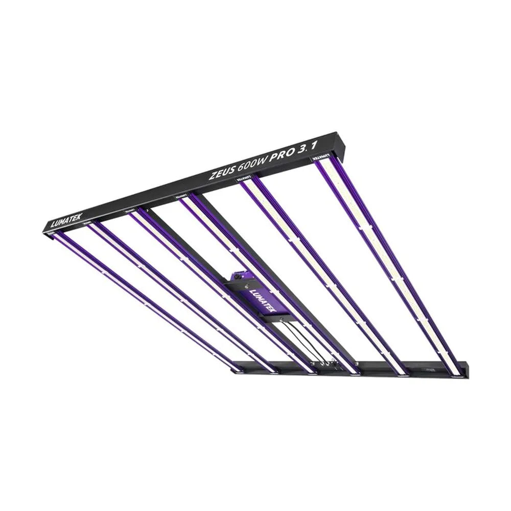 lumatek-led-zeus-600w-pro-31_2
