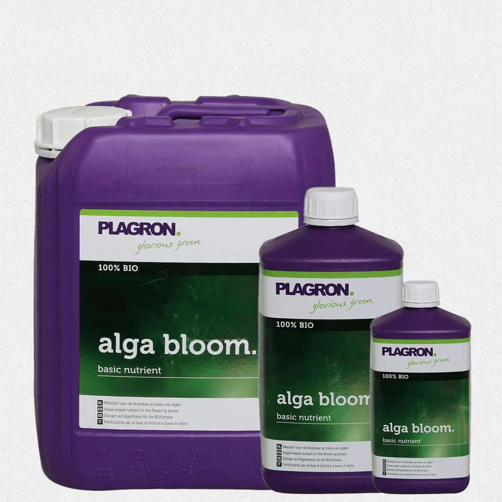 plagron-alga-bluete