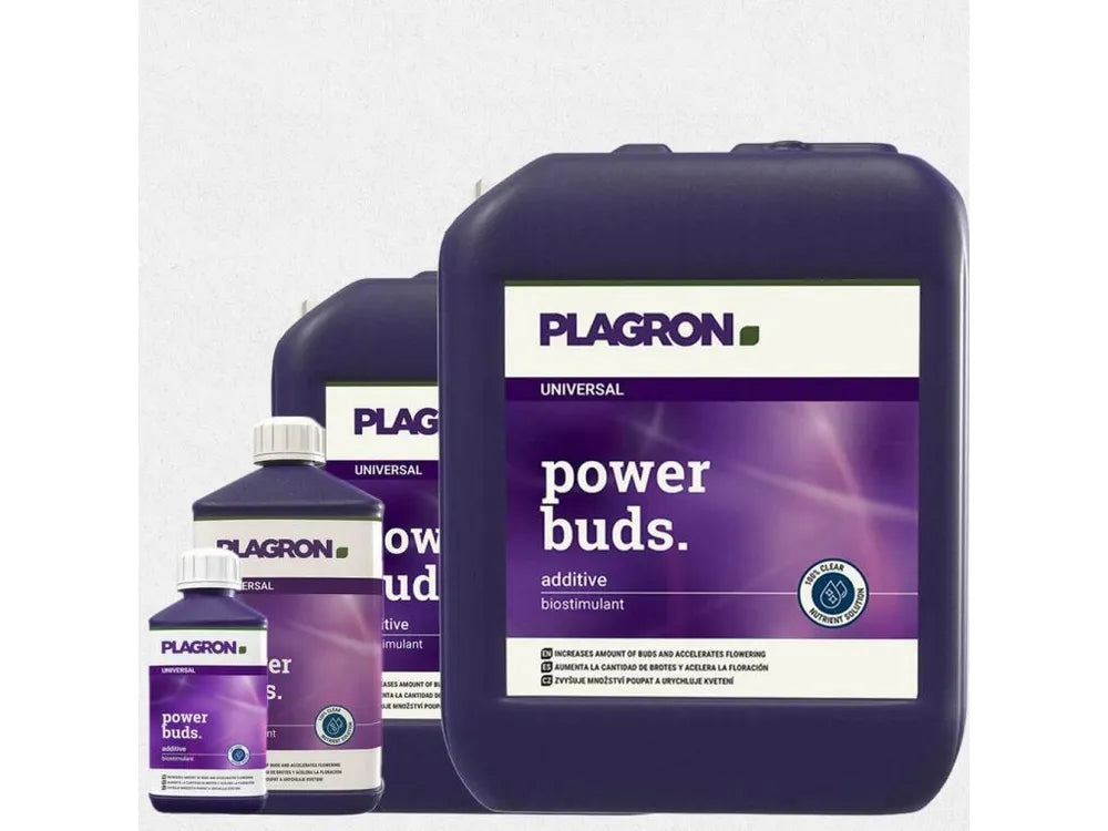 powerbuds