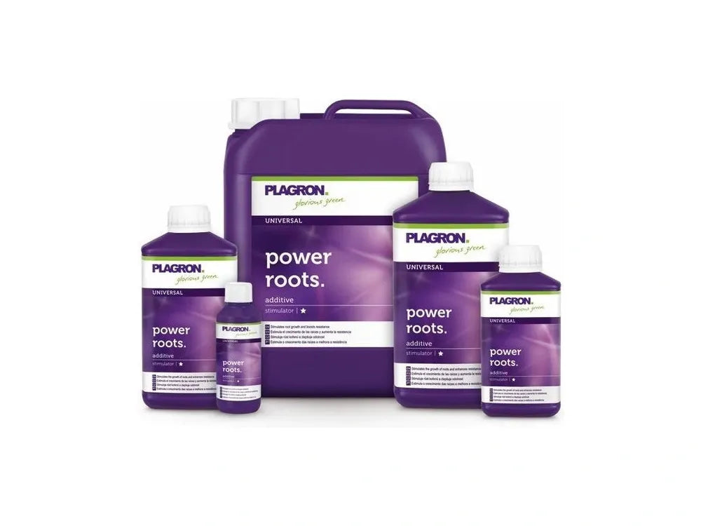 powerroots